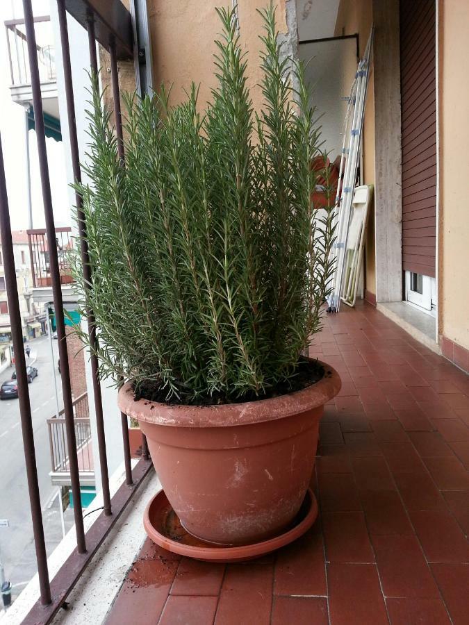 La Via Per Milano Otel Vigevano Dış mekan fotoğraf